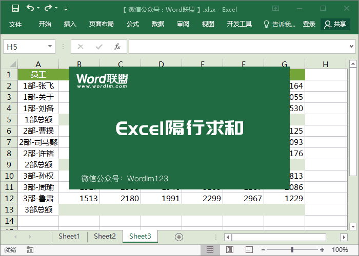 Excel隔行求和