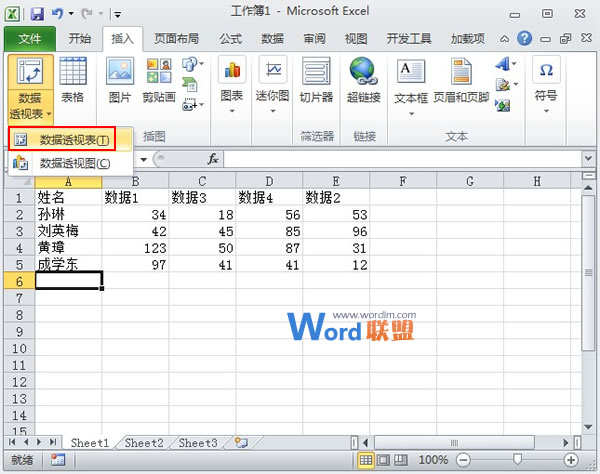 给Excel2010数据透视表字段进行排序